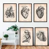 Anatomie du coeur vintage - Lot de 5