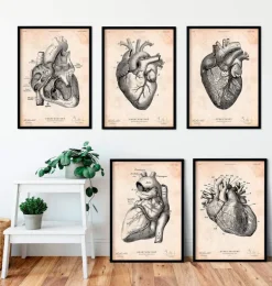 Anatomie du coeur vintage - Lot de 5