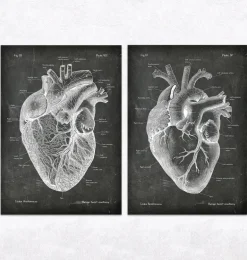 Anatomie du Coeur Vintage & Chalkboard - Lot de 5
