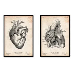 Anatomie du coeur vintage - Lot de 5