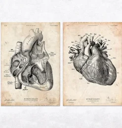 Anatomie du Coeur Vintage & Chalkboard - Lot de 5