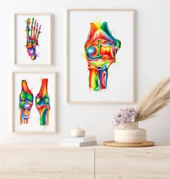 Anatomie du coude - Aquarelle