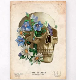 Anatomie du crâne - Floral - Vieux papier