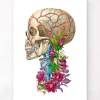 Anatomie du crâne II - Floral - Blanc