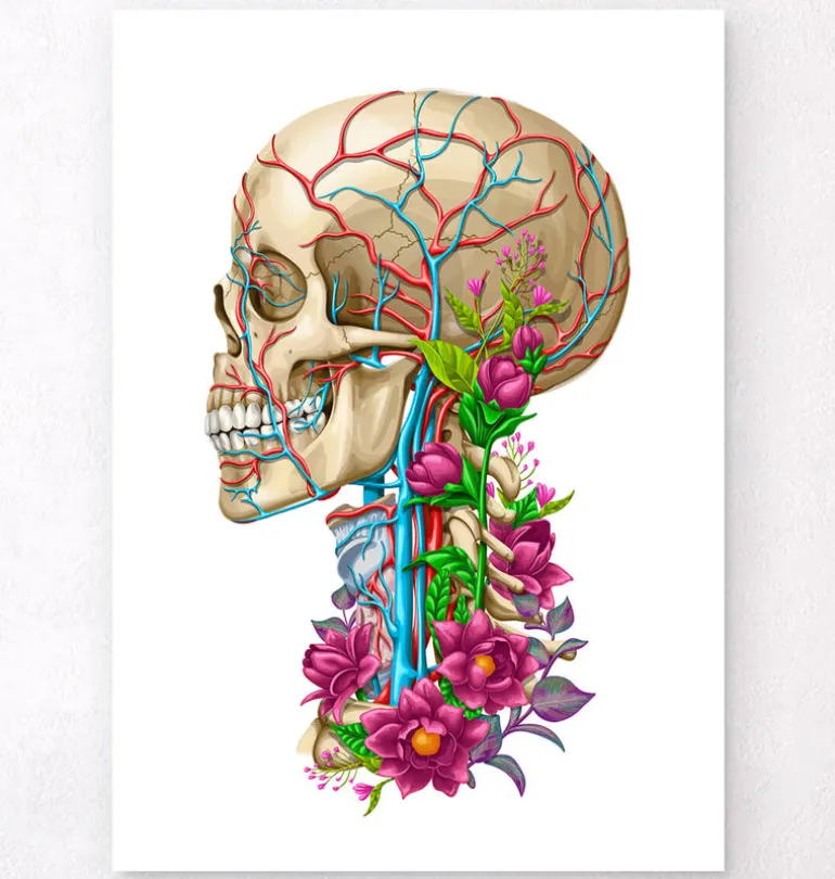 Anatomie du crâne II - Floral - Blanc