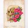 Anatomie du crâne III - Floral - Vintage