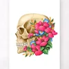 Anatomie du crâne III - Floral - Blanc