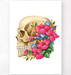 Anatomie du crâne III - Floral - Blanc