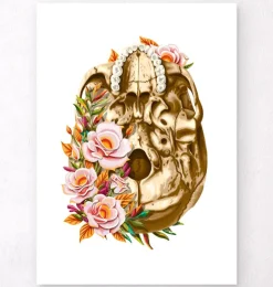 Anatomie du crâne V - Floral - Blanc
