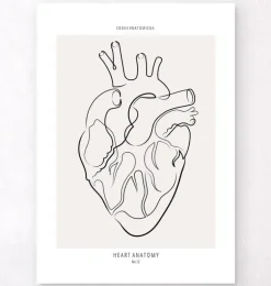Anatomie du cœur - Line Art