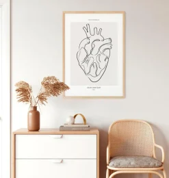 Anatomie du cœur - Line Art