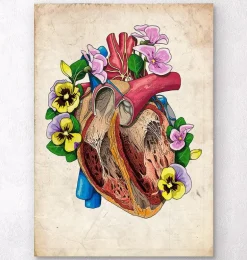 Anatomie du cœur floral II - Vieux papiers