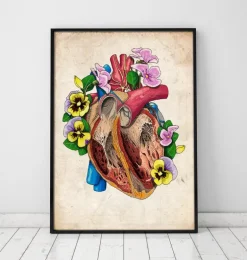 Anatomie du cœur floral II - Vieux papiers