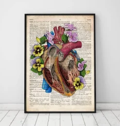 Anatomie du cœur floral II - Dictionnaire