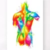 Anatomie du dos - Aquarelle