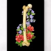 Anatomie du fémur - Floral - Noir