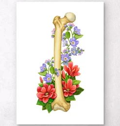 Anatomie du fémur - Floral - Blanc