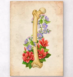 Anatomie du fémur - Floral - Vintage