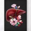 Anatomie du foie - Floral - Noir