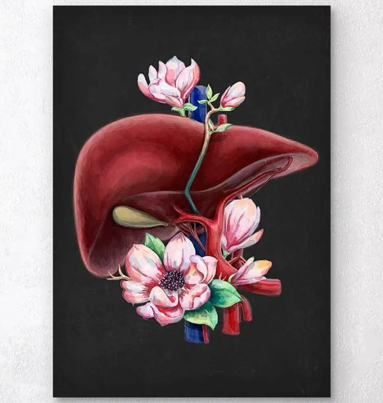 Anatomie du foie - Floral - Noir