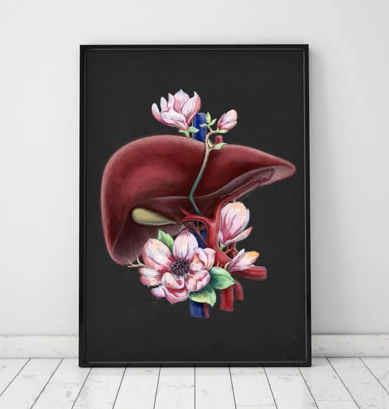 Anatomie du foie - Floral - Noir