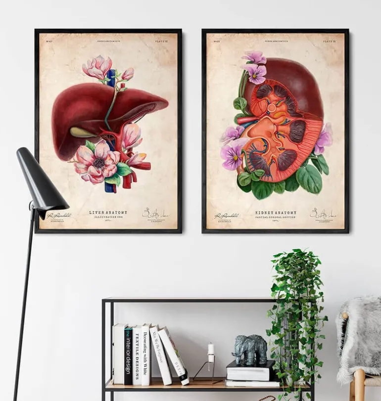 Anatomie du foie - Floral - Vieux papiers