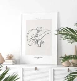 Anatomie du foie - Line Art