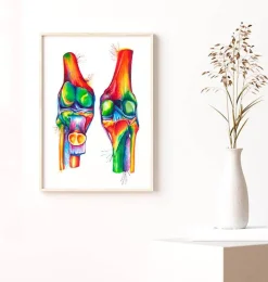 Anatomie du genou - Aquarelle