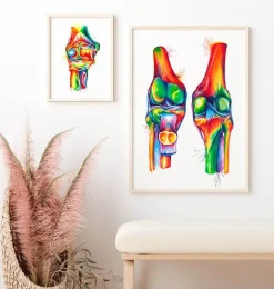 Anatomie du genou - Aquarelle