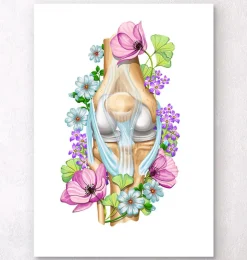 Anatomie du genou - Floral - Blanc