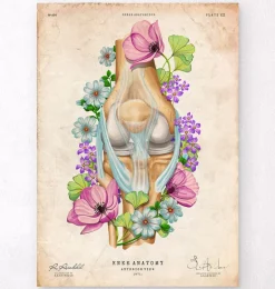 Anatomie du genou - Floral - Vintage