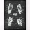 Anatomie du genou II - Chalkboard