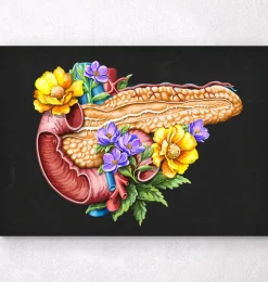 Anatomie du pancréas - Floral - Noir