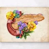 Anatomie du pancréas - Floral - Vieux papier