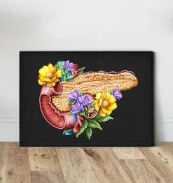 Anatomie du pancréas - Floral - Noir
