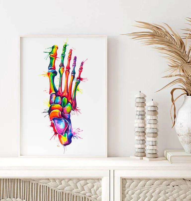 Anatomie du pied - Aquarelle