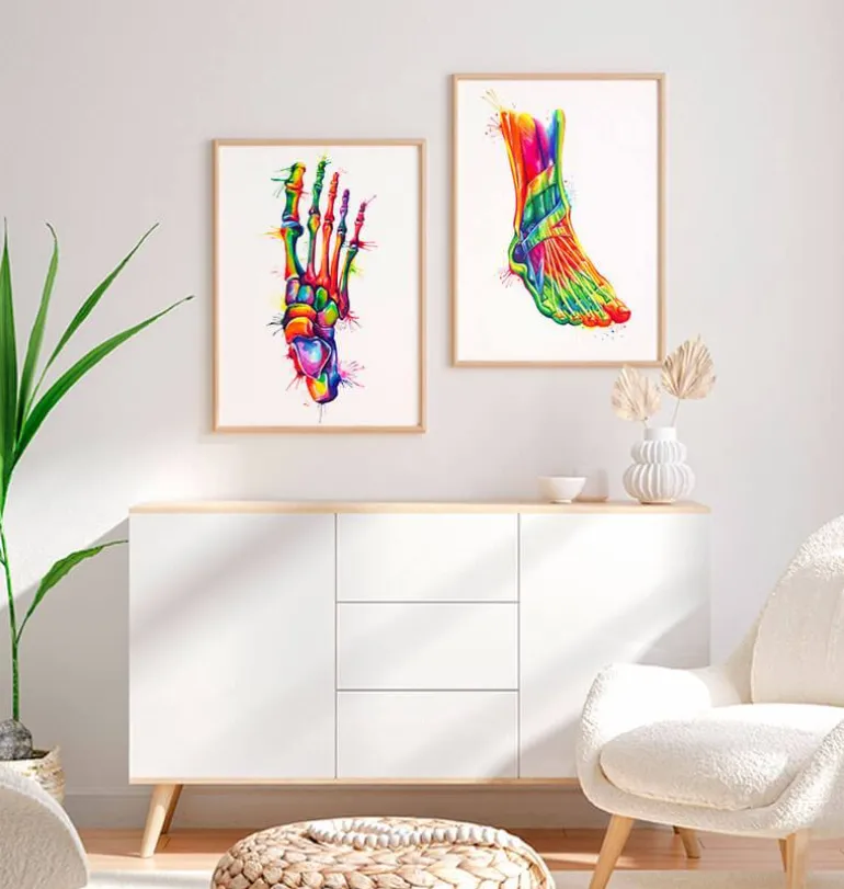 Anatomie du pied - Aquarelle