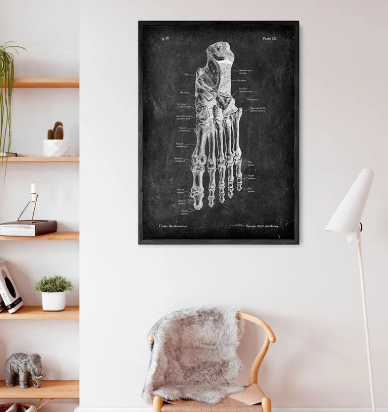 Anatomie du pied - Chalkboard