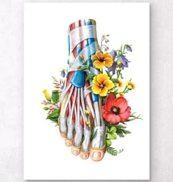 Anatomie du pied - Floral - Blanc