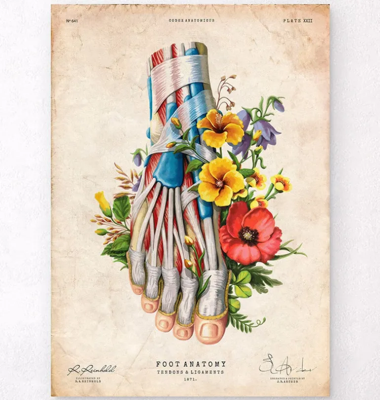 Anatomie du pied - Floral - Vintage