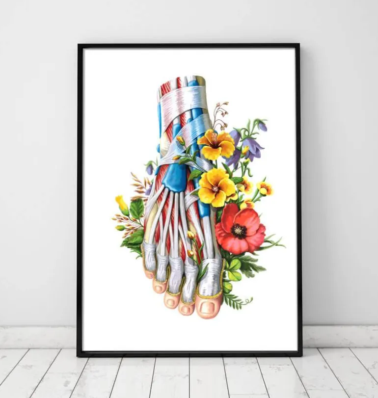 Anatomie du pied - Floral - Blanc