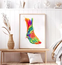 Anatomie du pied et de la cheville - Aquarelle