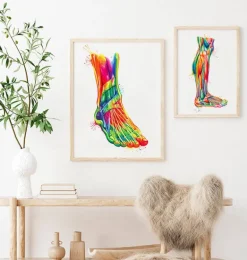 Anatomie du pied et de la cheville - Aquarelle