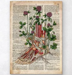 Anatomie du pied floral - Ancien dictionnaire