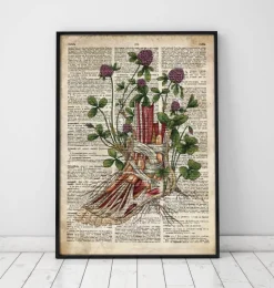 Anatomie du pied floral - Ancien dictionnaire