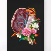 Anatomie du placenta - Floral - Noir