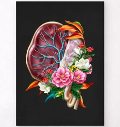 Anatomie du placenta - Floral - Noir