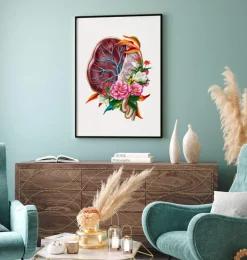 Anatomie du placenta - Floral - Blanc