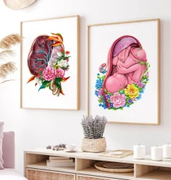 Anatomie du placenta - Floral - Blanc