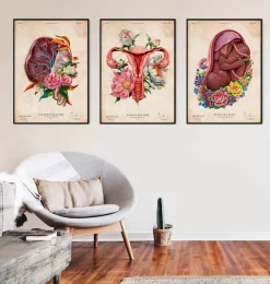 Anatomie du placenta - Floral - Vintage